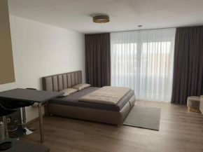 Eine gemütliche Einzimmerwohnung